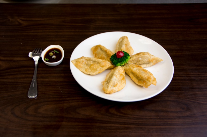 a04. pan-fried dumplings (6 pc) 鲜肉锅贴